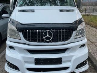 Mercedes Viano foto 3