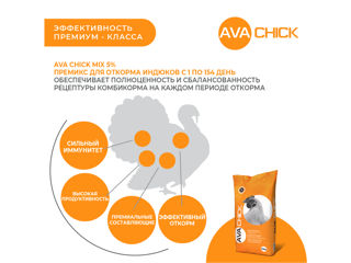 Premix pentru îngrășarea curcanilor AVA CHICK MIX 5% foto 3