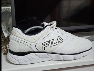 Fila 43 noi