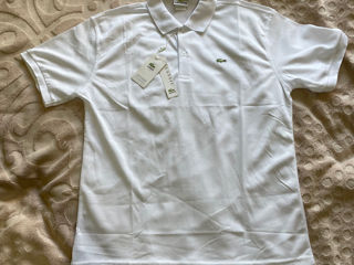 Lacoste maiou polo