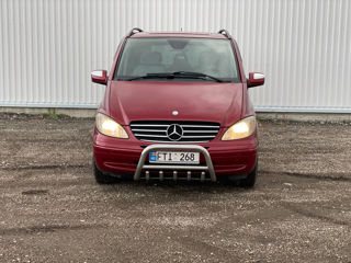 Mercedes Viano foto 3