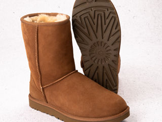 UGG оригинал