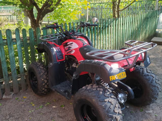 Boss ATV Hammer 180cc foto 2