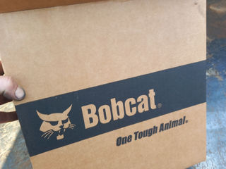 Curea bobcat foto 1