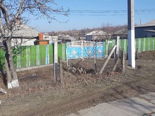 Lot 11 ari  pomi fructiferi cu anumite construcţii auxiliare, garaj, casă de vară 12/6 foto 1