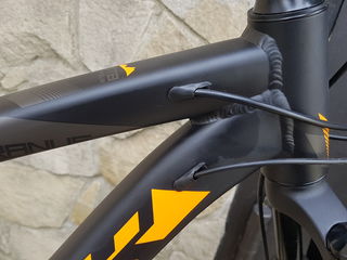 29er Uranus 2019 foto 9