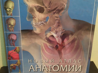 Книги - атласы по анатомии человека