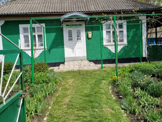 Casa in Alexeevca