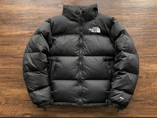 Scurta The North Face