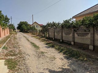 Loc de casă 8 ari str. Serghei Lazo 1, s.Dobrogea foto 2