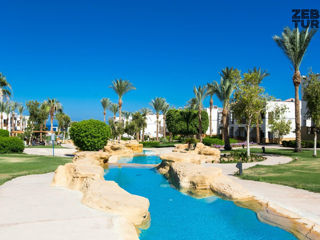 Egipt, Sharm El Sheikh - Amphoras Beach 5* foto 2