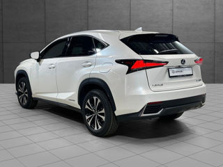 Lexus NX Series foto 8