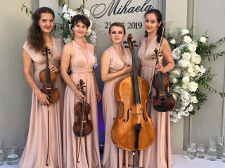 Paradis-quartet - музыка для самой красивой свадьбы! foto 5