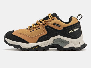 Salomon Quest Element Brown