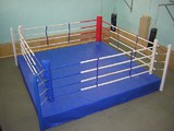 боксёрский ринг, борцовский ковёр, татами, спортивное снаряжение, боксёрская груша. foto 3