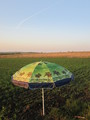Umbrele pt soare diferite marimi si culori foto 4