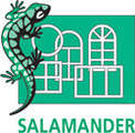 Ferestre salamander foto 5