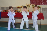 Taekwondo-judo -kickboxing de la 6 ani foto 6