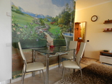 Apartament cu 1 cameră, 40 m², Centru, Chișinău foto 7