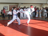 Taekwondo-judo -kickboxing de la 6 ani foto 4