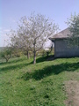 Продаю дом+50 соток земли, в гладянском районе село Яблона foto 1