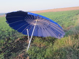 Зонты! Разные размеры и цвета! foto 2