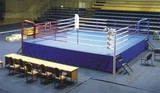 боксёрский ринг, борцовский ковёр, татами, спортивное снаряжение, боксёрская груша. foto 5