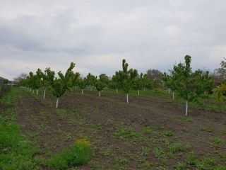 s. Fundurii Vechi, Glodeni foto 2