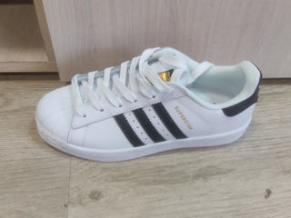 Adidas super star white