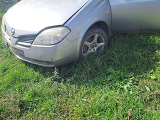 Nissan Primera foto 3