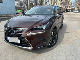 Lexus NX Series foto 1