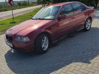 BMW 3 Series foto 5