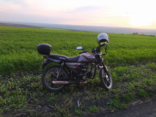 Gherakl lx 50