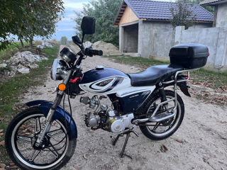 Alpha Moto Vind foto 3