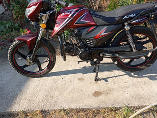 Alpha Moto Alifa