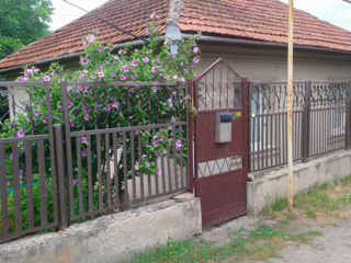 Продам дом в центре города с сауной и фруктовым садом foto 2
