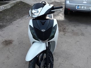 Honda Sh foto 4