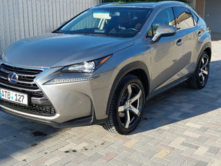 Lexus NX Series foto 3