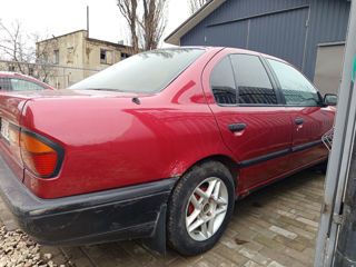 Nissan Primera foto 5