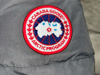 Scurta Canada Goose foto 6