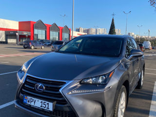 Lexus NX Series