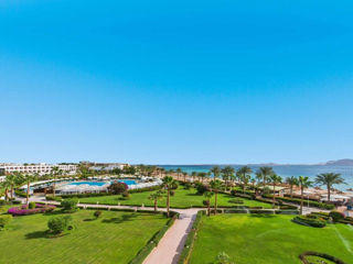 Egypt! Sharm!  "Baron Resort" 5*! С 09.12! foto 8