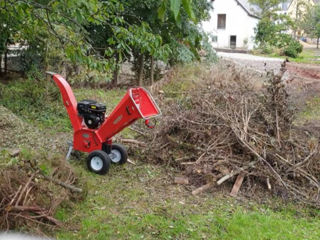 Tocatoare in chirie (arenda) foto 11