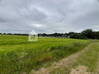 Vânzare teren agricol de 346 ari, în Ghidighici, str. Viilor. foto 4