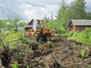 Уборка  участков. Резка деревьев  Curatarea Terenului Расчищаем foto 4