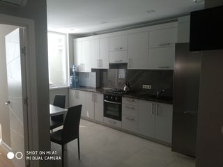 Apartament cu 1 cameră, 45 m², Centru, Chișinău foto 5