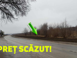 Urgent Prima linie se vinde teren pe traseul R1 Chisinau-Ungheni 45 ari foto 1