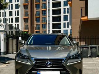 Lexus NX Series