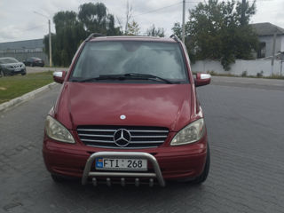 Mercedes Viano foto 3