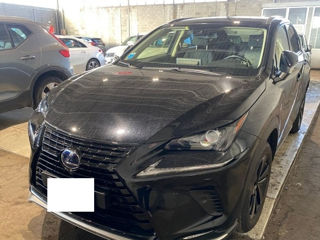 Lexus NX Series